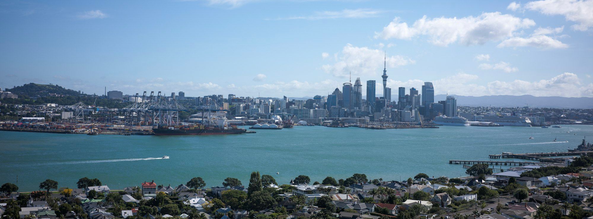 Auckland skyline and harbour with port shipping cranes and houses in the foreground